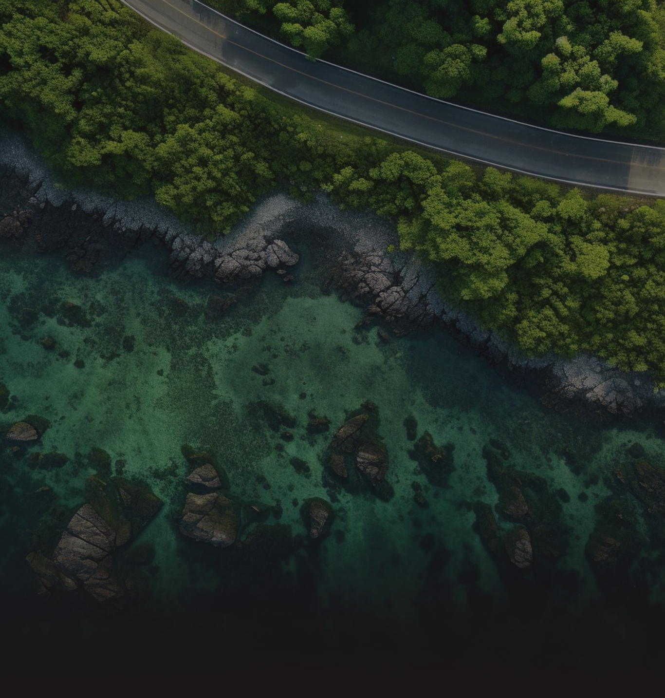 /images/dynamic/bigbanner.jpg